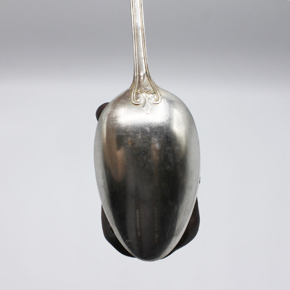 L'ourse aux ustensiles – Image 5